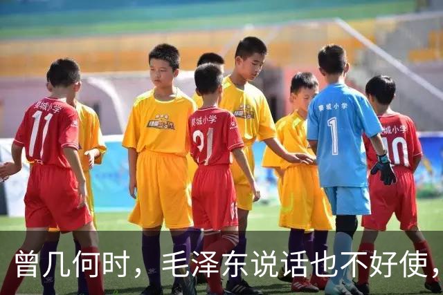 曾几何时，毛泽东说话也不好使，只能一退再退——学爸讲长征（7）